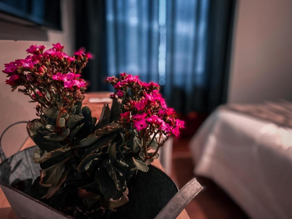 Hotel Tico Pousada Campos do Jordão Zewnętrze zdjęcie